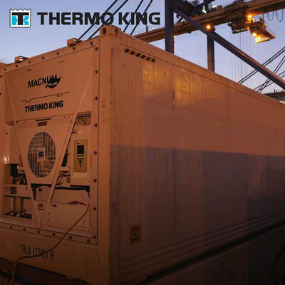 MP4000 THERMO KING Контейнерная холодильная установка Magnum Plus