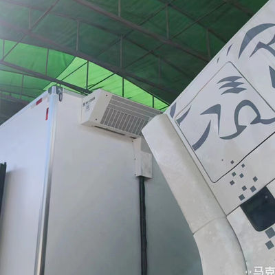 Термо Кинг холодильный блок RV1200S RV1200 для холодильника грузовик охлаждающая система оборудование хранить мясо рыбы